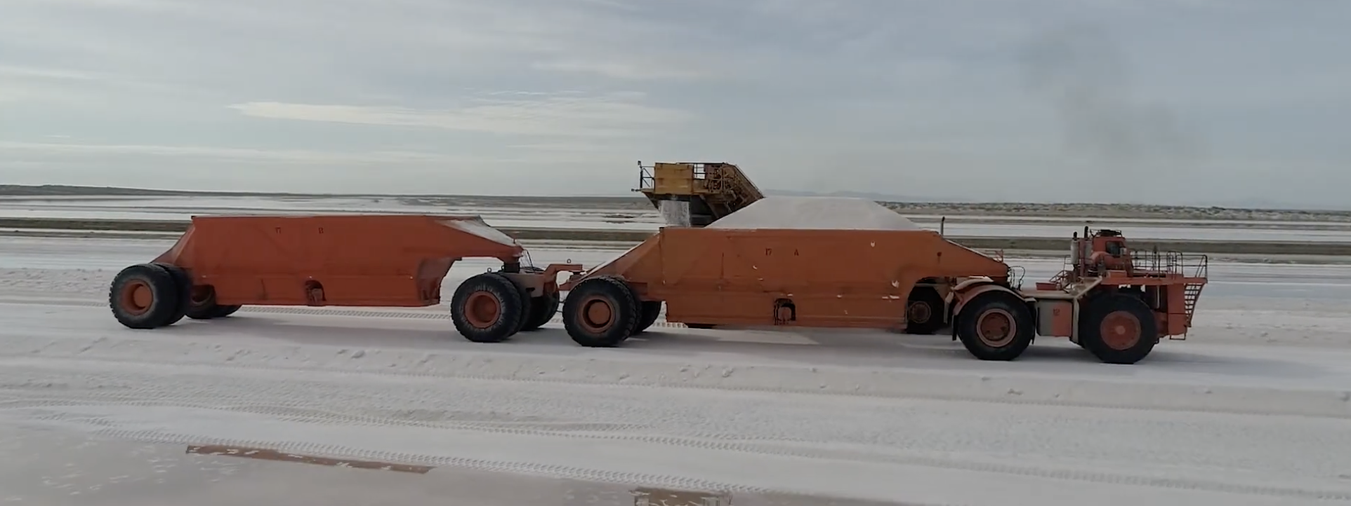 Salt Harvest